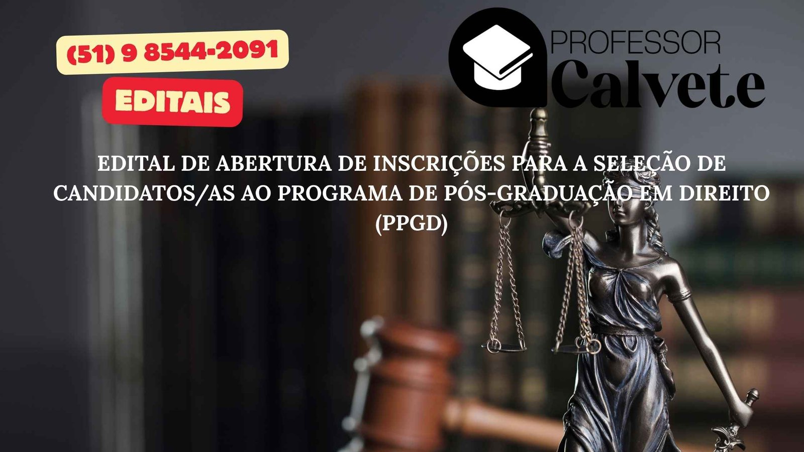 PROGRAMA DE PÓS-GRADUAÇÃO EM DIREITO (PPGD)